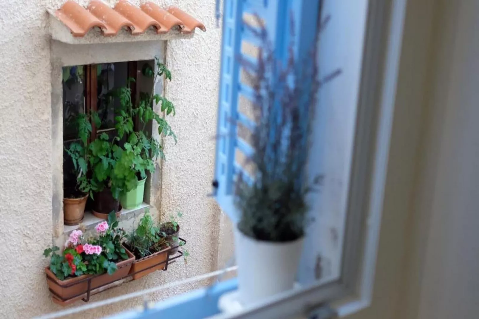 Apartments Blue Lavender - Two Bedroom Apartment - Buitenlucht