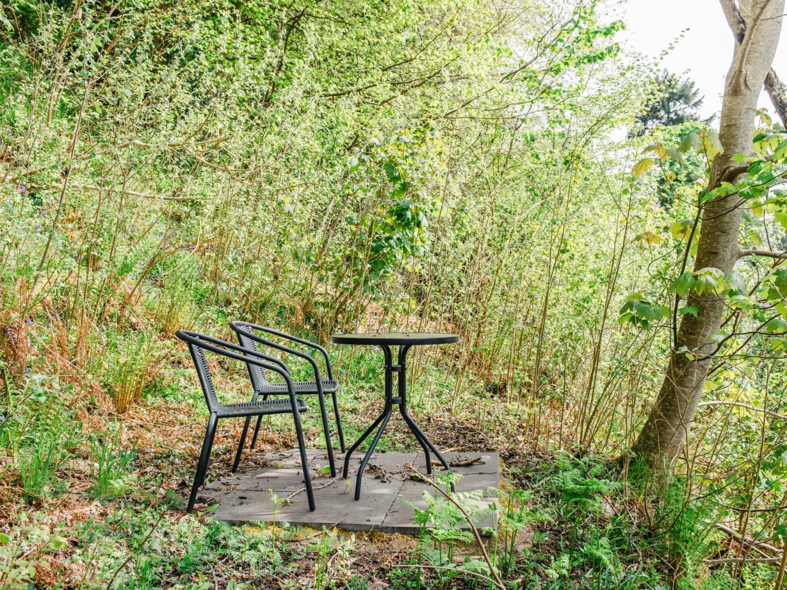 Wayside Bothy-Buiten