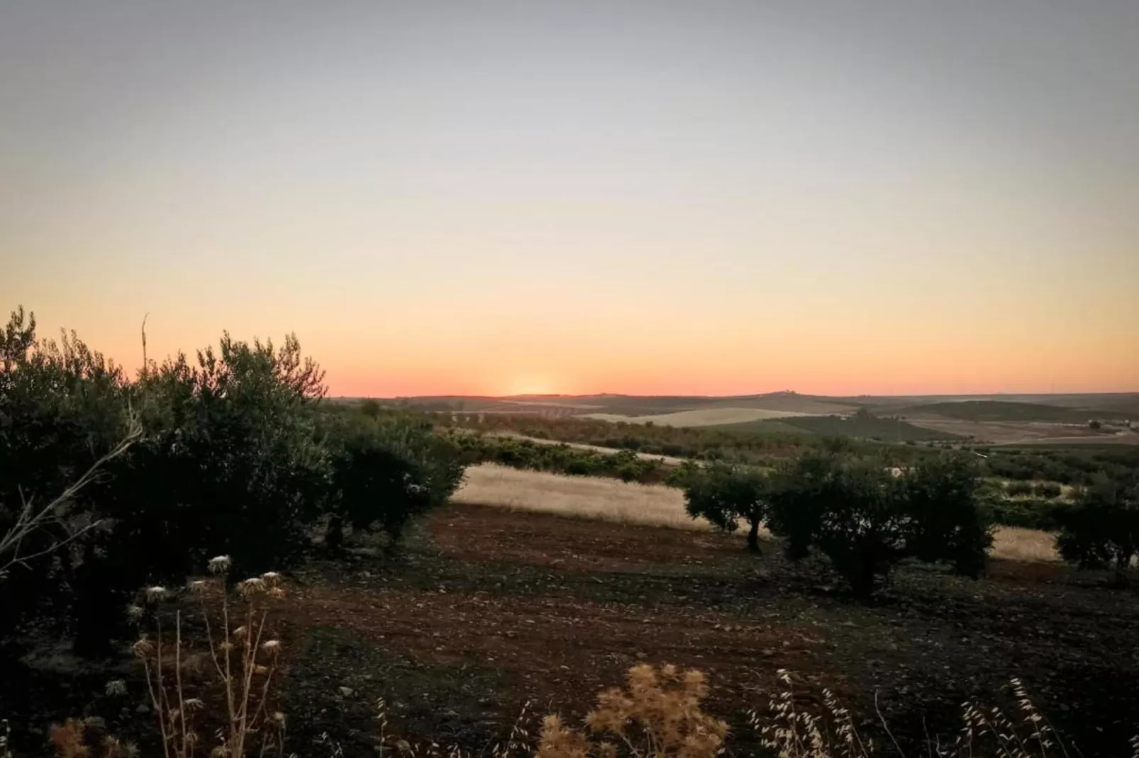 Villapark Ehzerburg 2-Gebieden zomer 20km