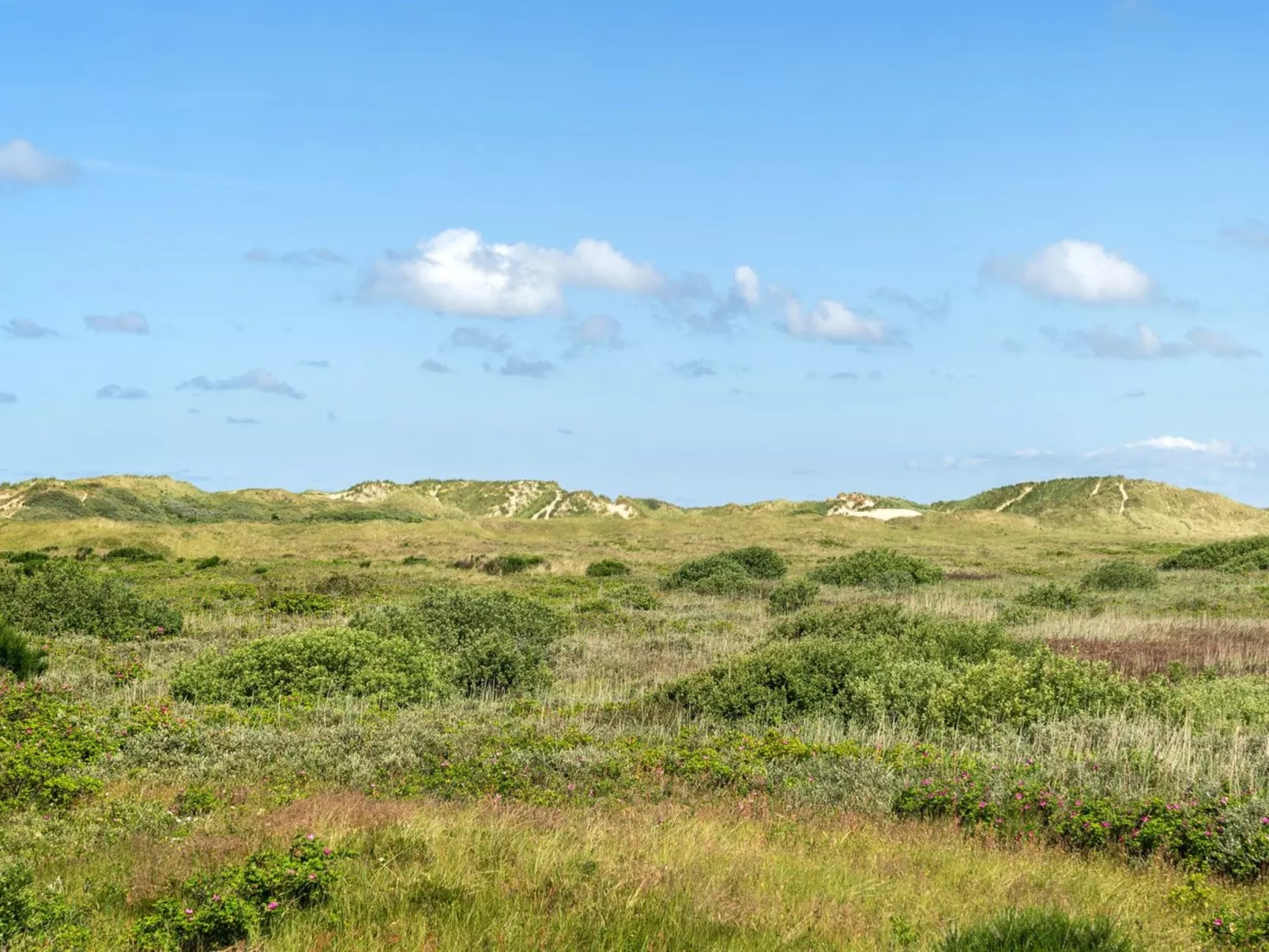 "Ortwin" - 300m from the sea-Buiten