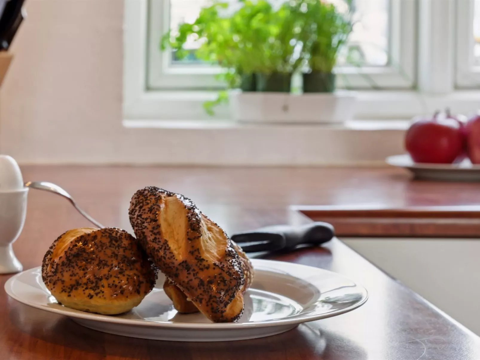 "Langsom" - 100m from the sea-Binnen