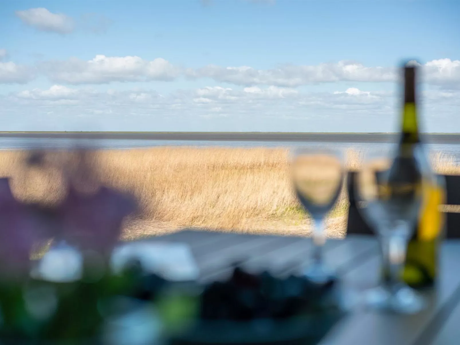 "Deljan" - 3.5km from the sea-Buiten