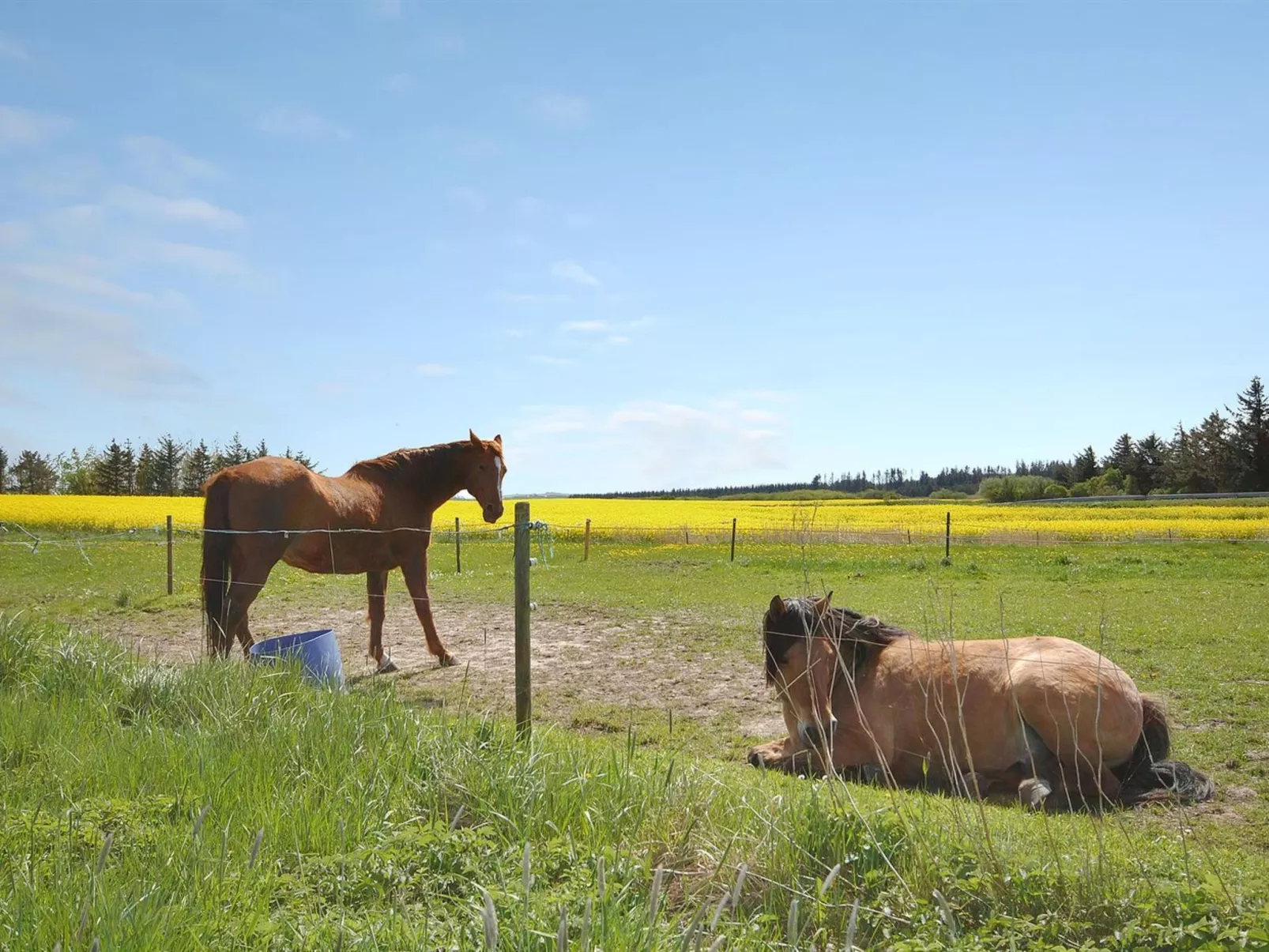 "Sophia" - 8km from the sea-Buiten
