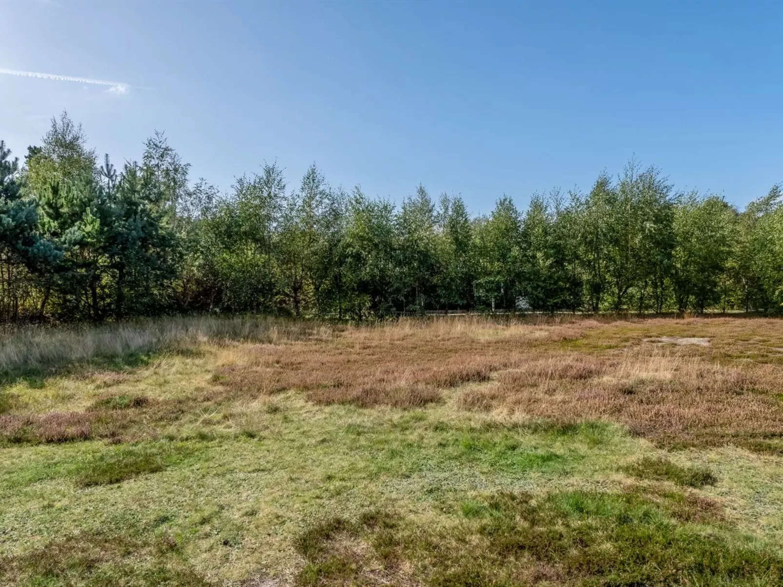 "Jurgis" - 300m from the sea-Buiten