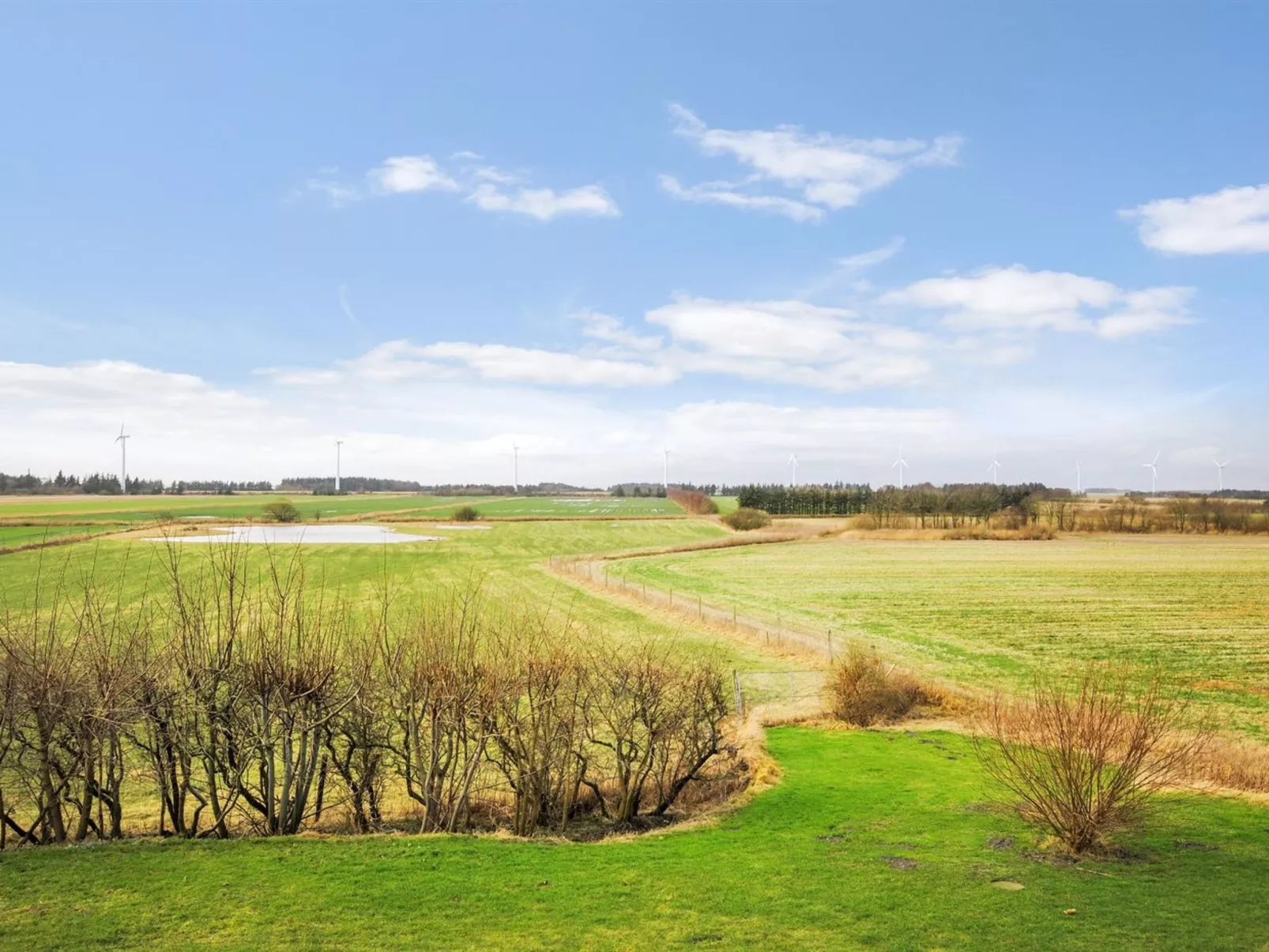 "Millie" - 3km to the fjord-Buiten