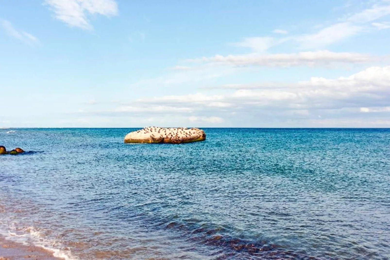 5 sterren vakantie huis in Skagen-By Traum-Niet-getagd