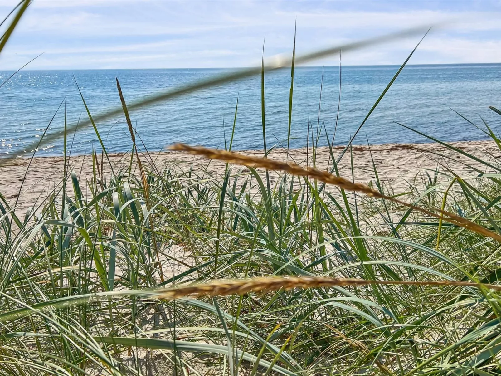 "Elsia" - 280m from the sea-Buiten