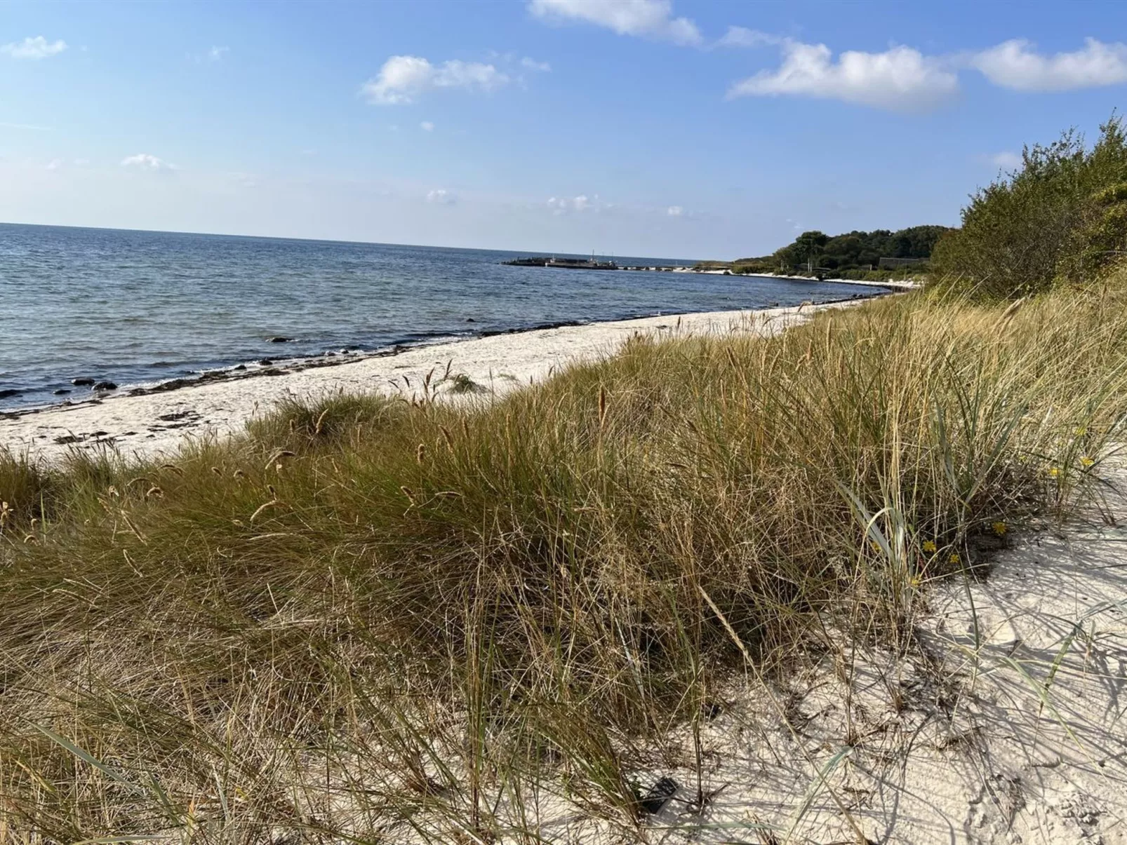 "Eirik" - 700m from the sea-Buiten