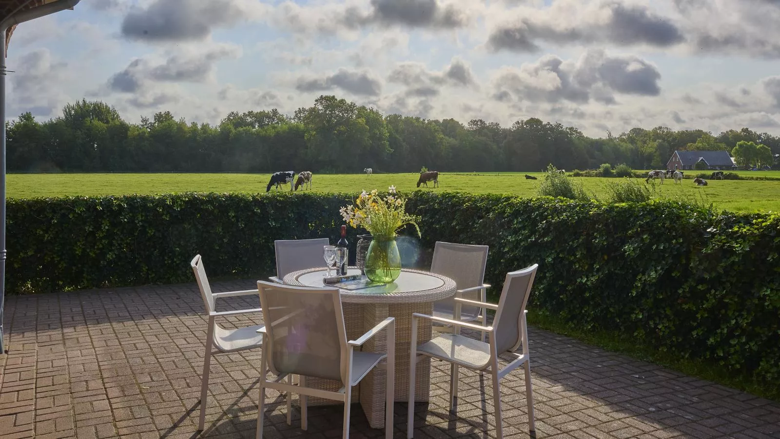 T Achterhoes-Terrasbalkon