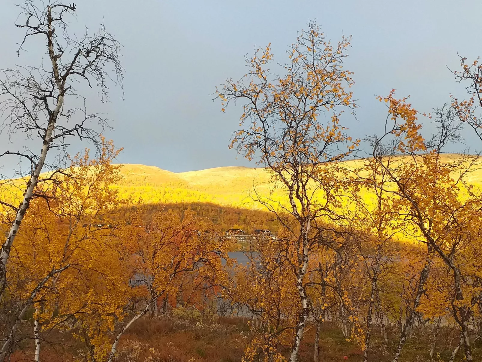 Willa kiiruna-Binnen