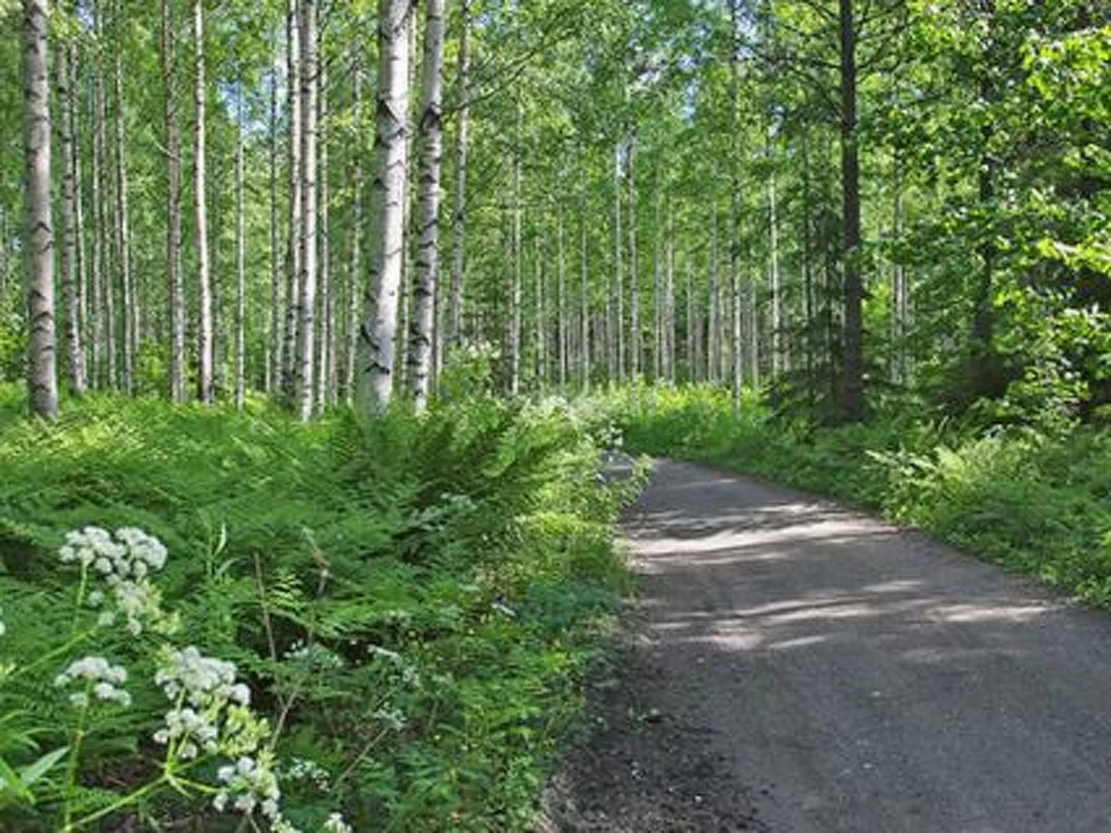 Kopinkallio 2-Binnen