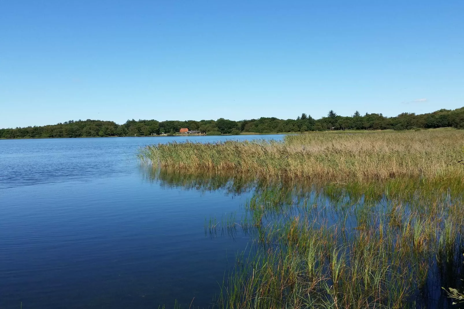 5 sterren vakantie huis in Ansager-Waterzicht