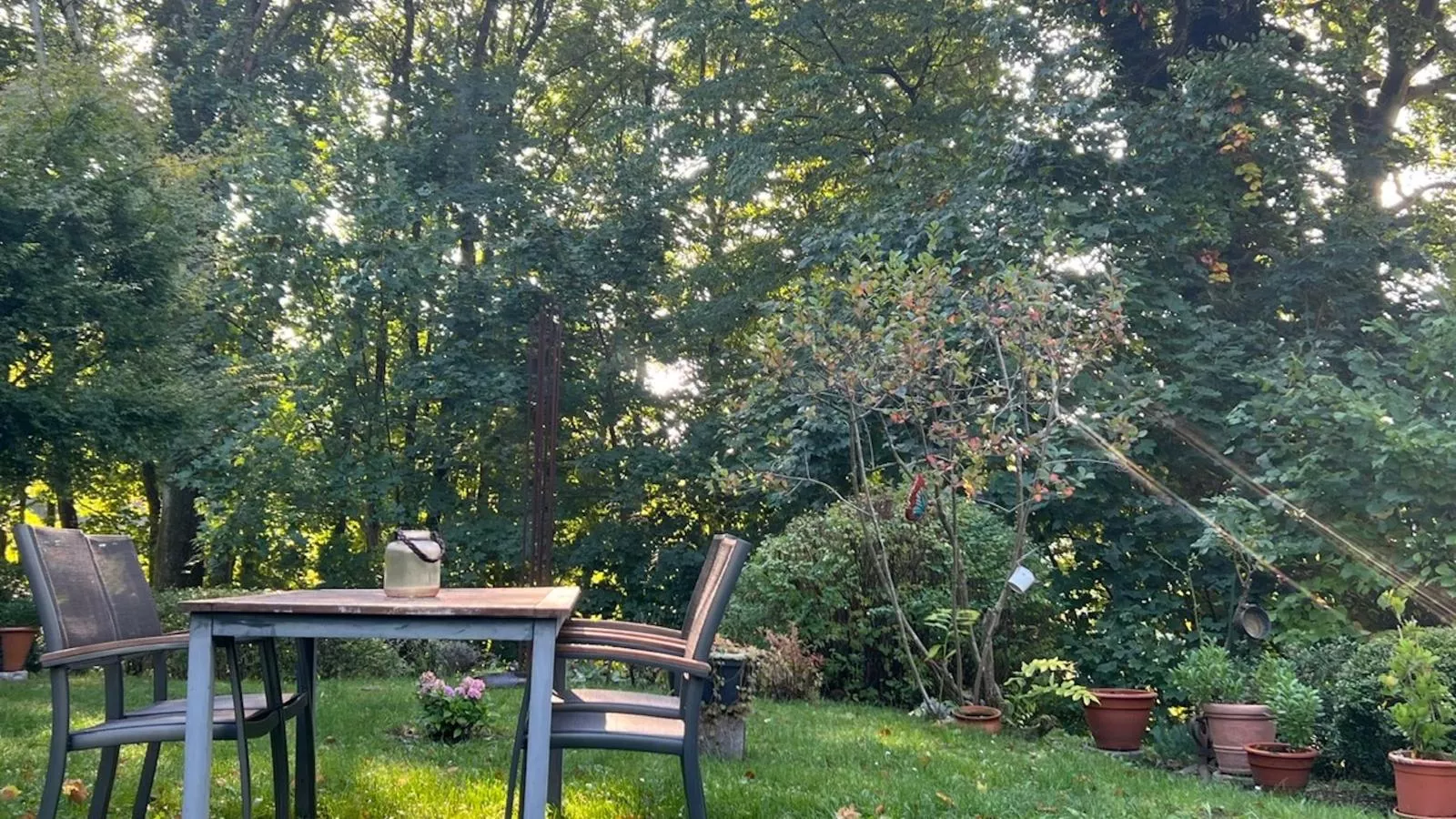 Forsthaus Heinrichsbach-Tuinen zomer