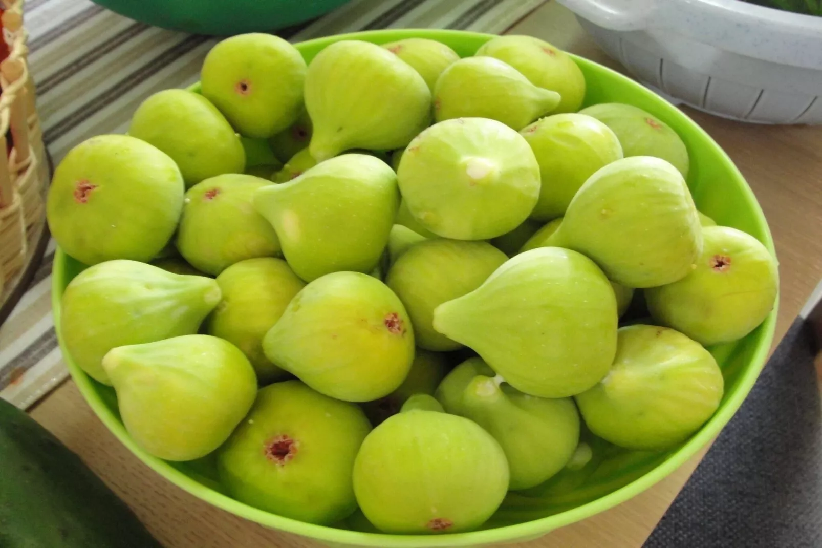 Apartments Villa Tanja - Two Bedroom Apartment with Terrace-Terras