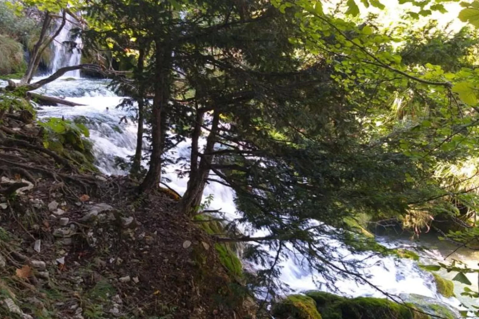 Holiday Apartment Vuković - Three Bedroom Holiday Home With Terrace-Uitzicht