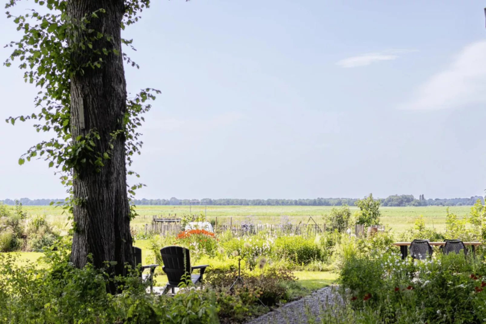 Eindeloos Uitzicht-Gebieden zomer 1km