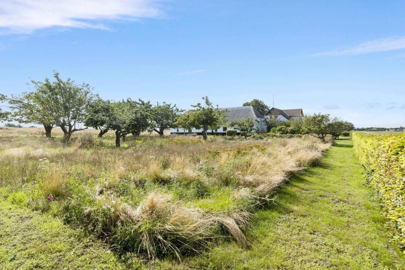 5 sterren vakantie huis in Bagenkop-Uitzicht