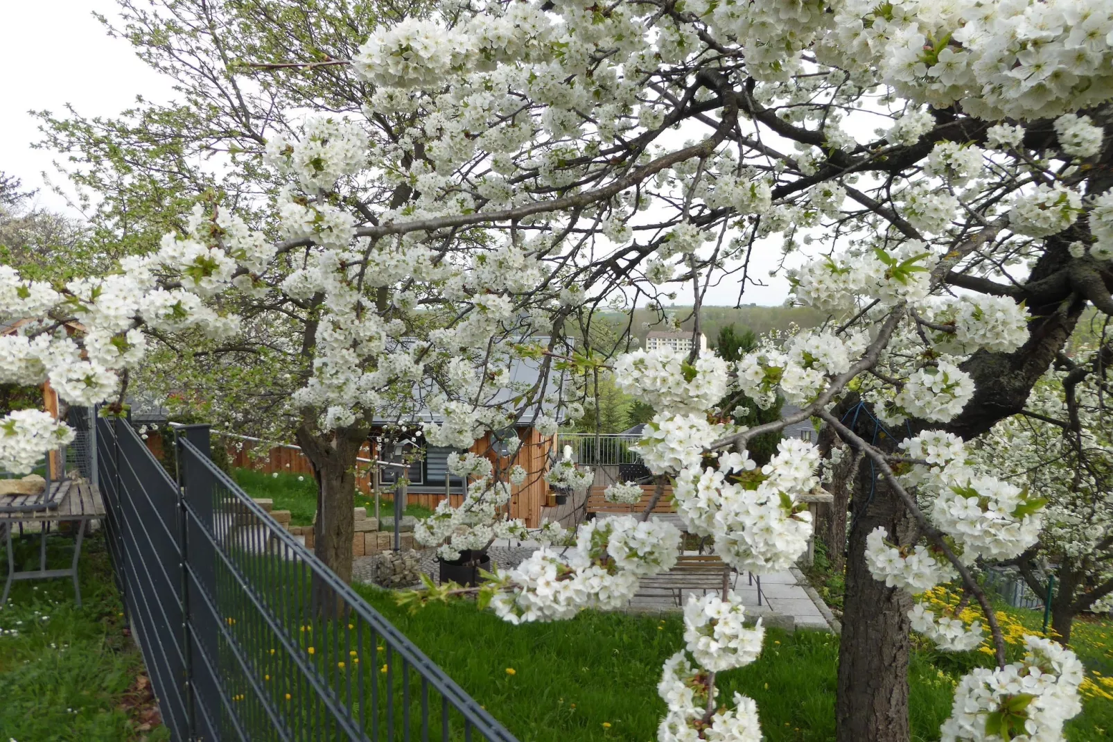 Teufelsmauerblick-Tuinen zomer