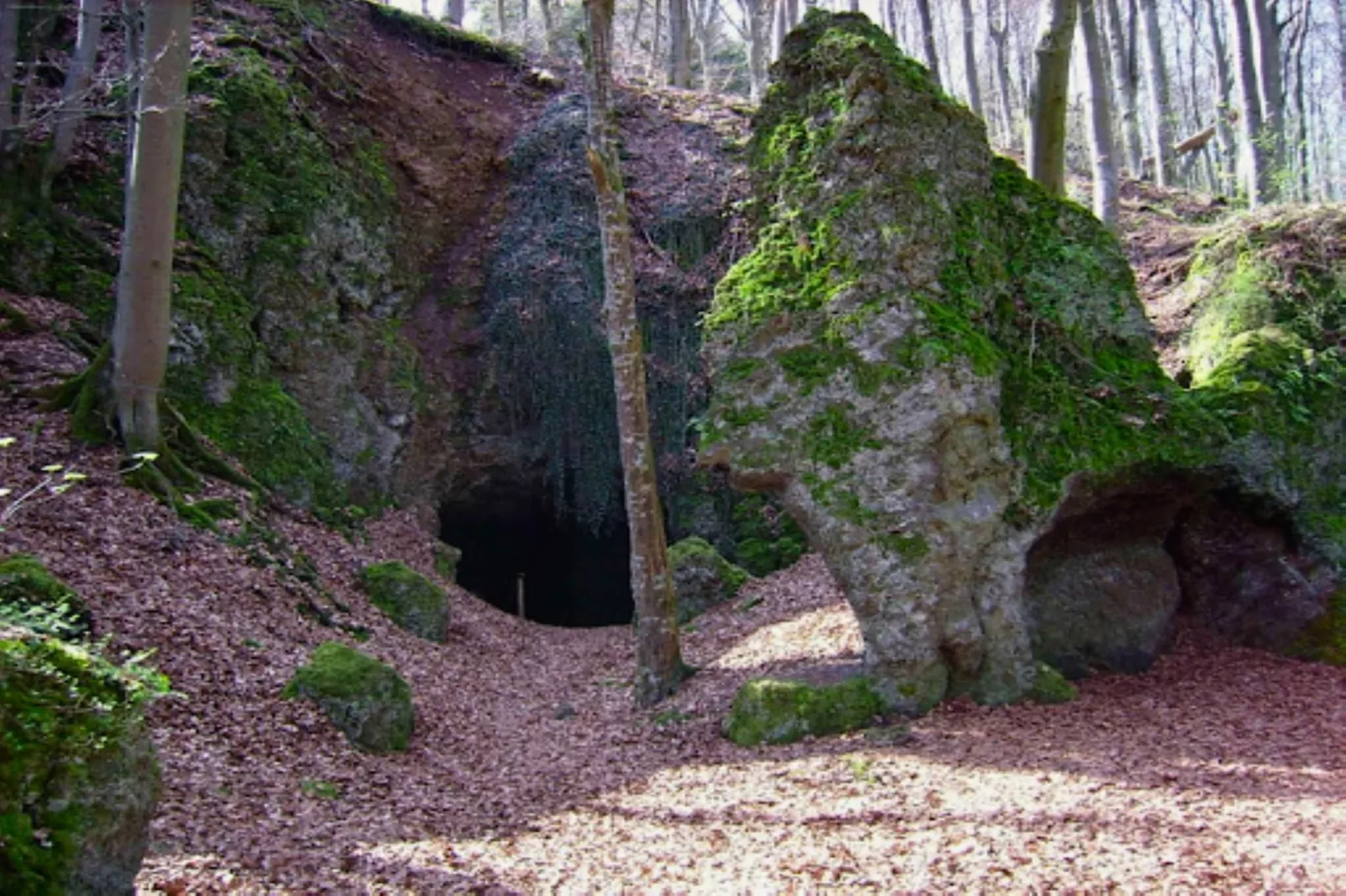 Ferienwohnung Birresborn-Gebieden zomer 20km