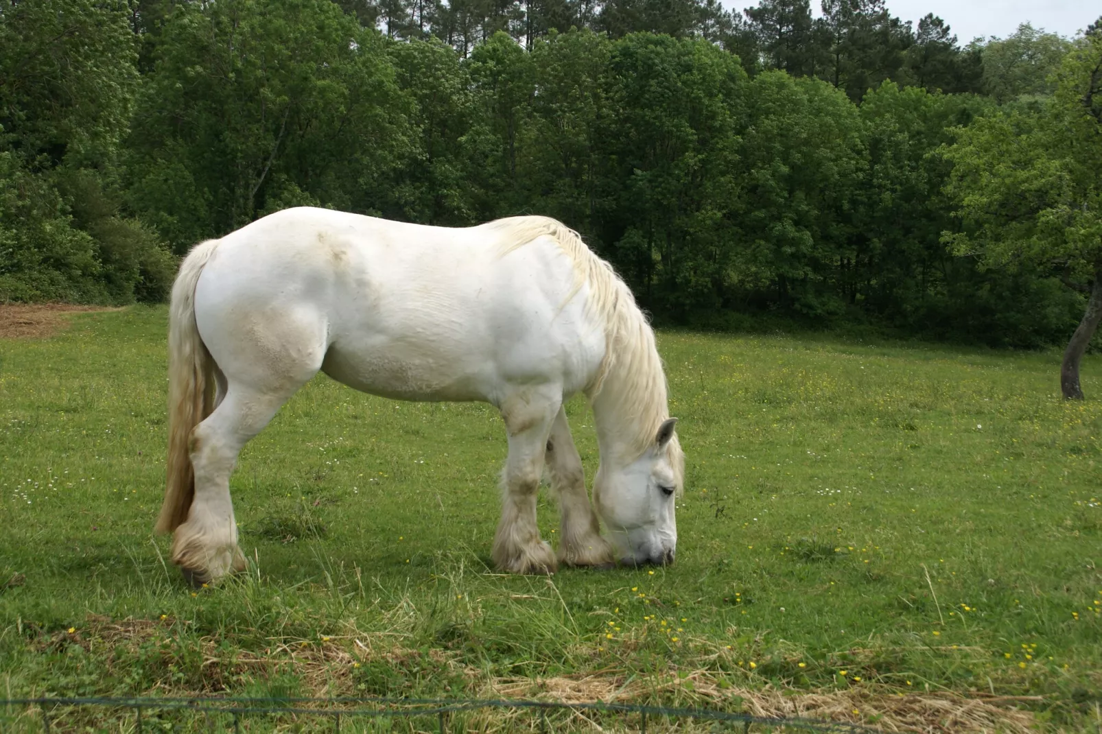 Maison de vacances Besse Les Vitarelles 6p-Gebieden zomer 5km