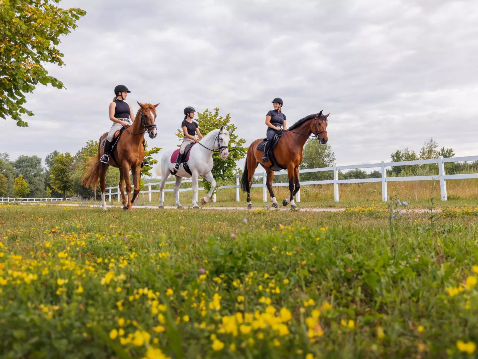 Vila Breg 1-Omgeving