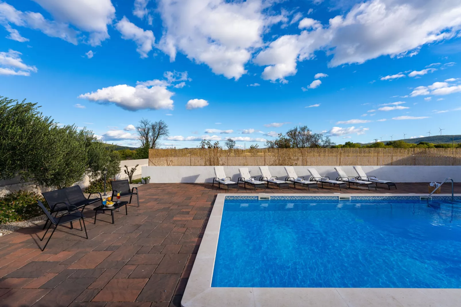 Villa Marijana-Zwembad