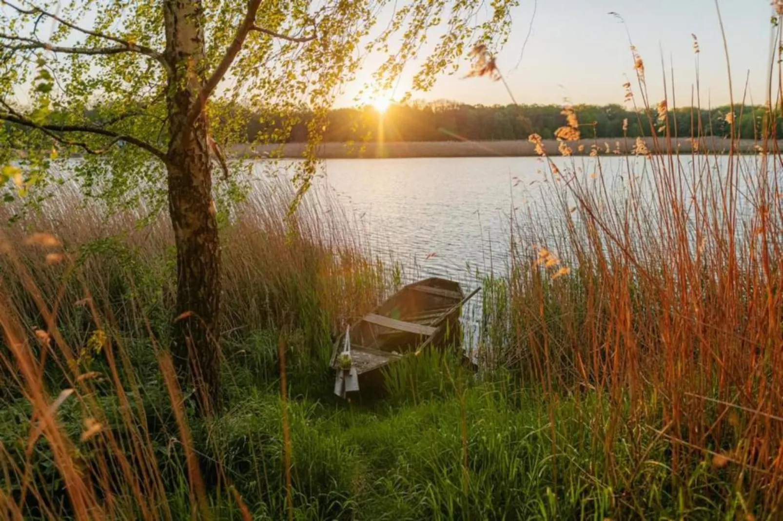 Hausboot in Zehdenick-Gebieden zomer 20km