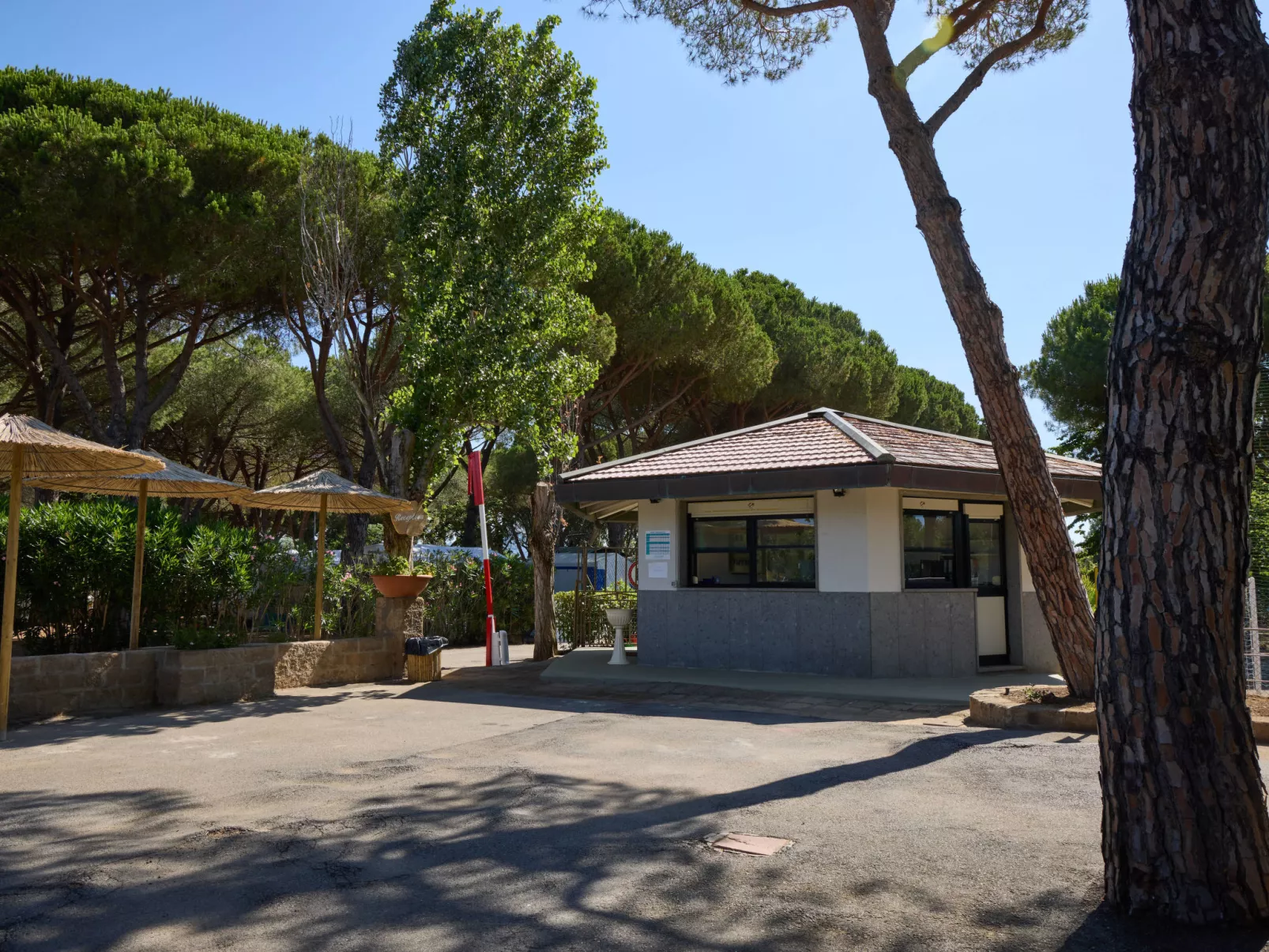 Costa D'Argento-Buiten