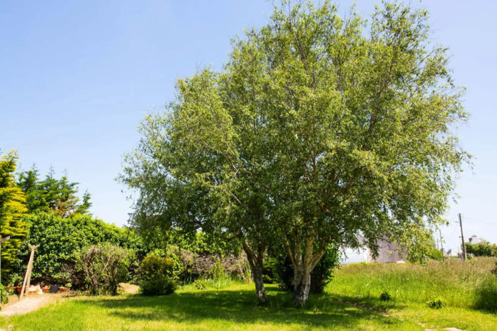 Maison à Penmarc'h-Niet-getagd