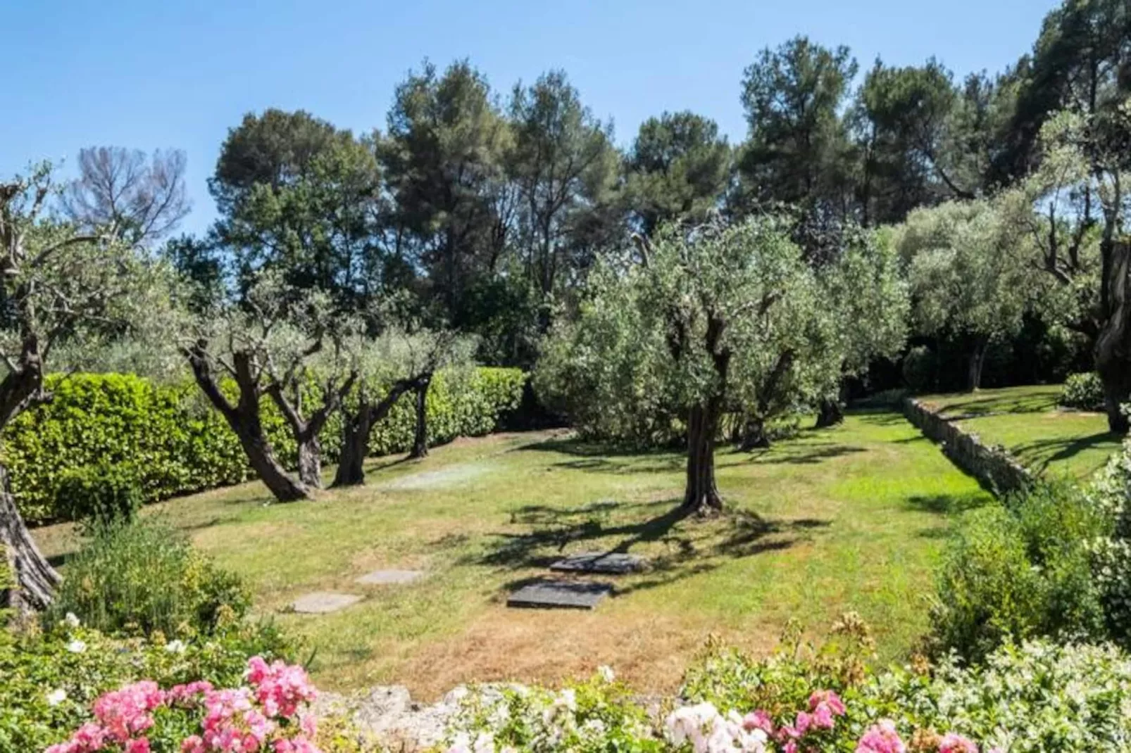 Résidence Bijou De 280m2 Et Piscine à Débordement Au Calme Absolu-Niet-getagd