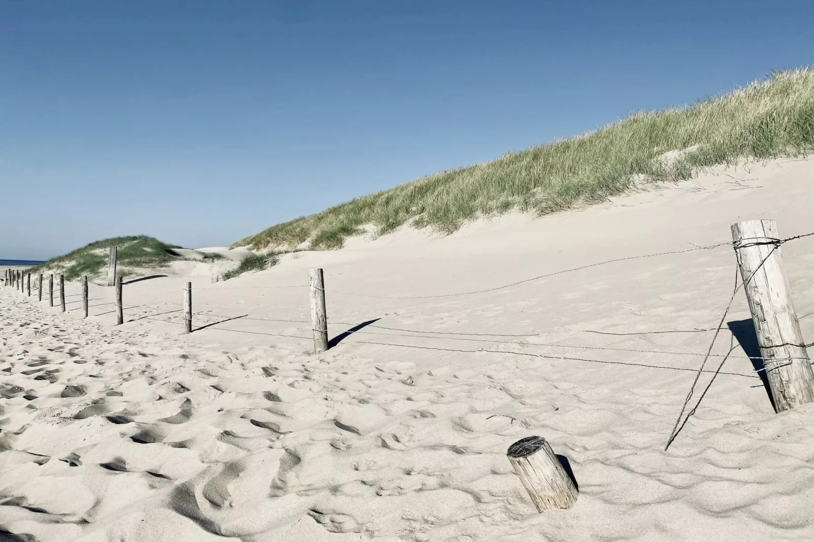 De Biotoop-Gebieden zomer 5km