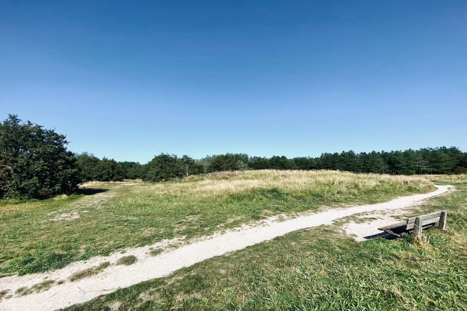 INFINITY-Gebieden zomer 5km