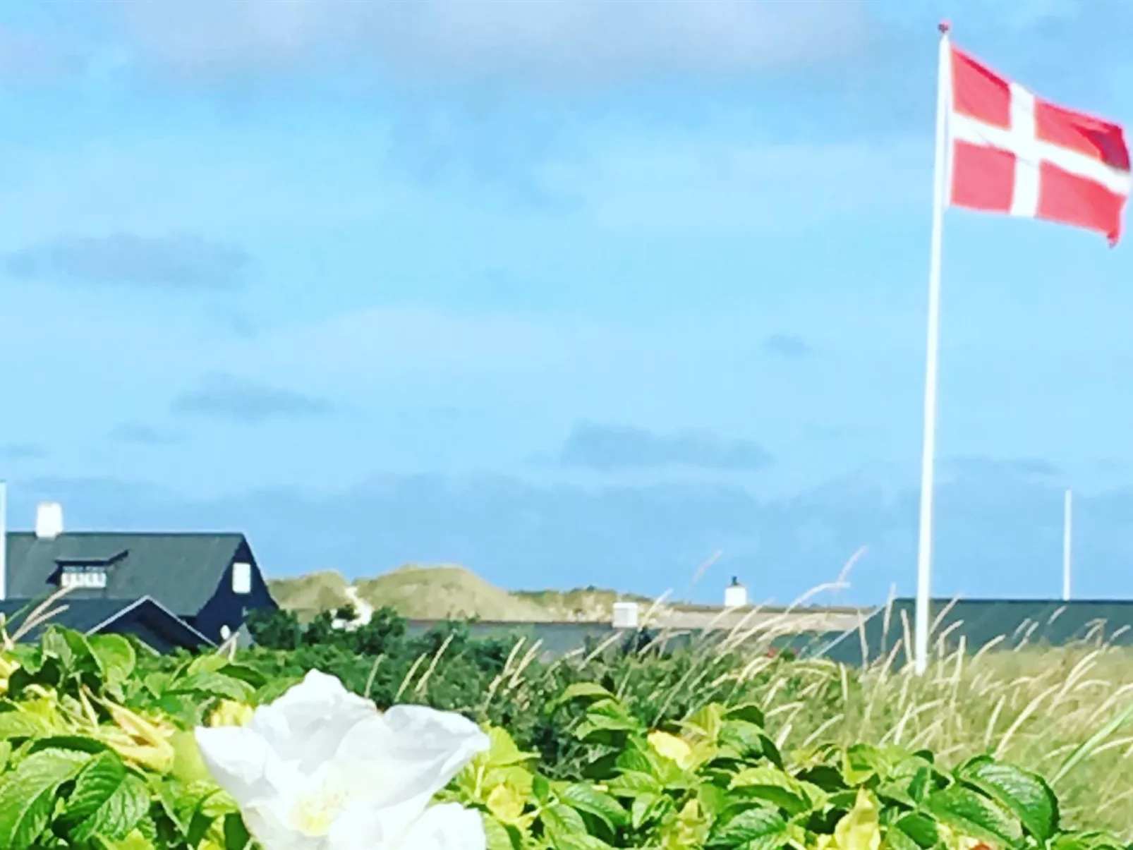 "Märta" - 300m from the sea-Buiten