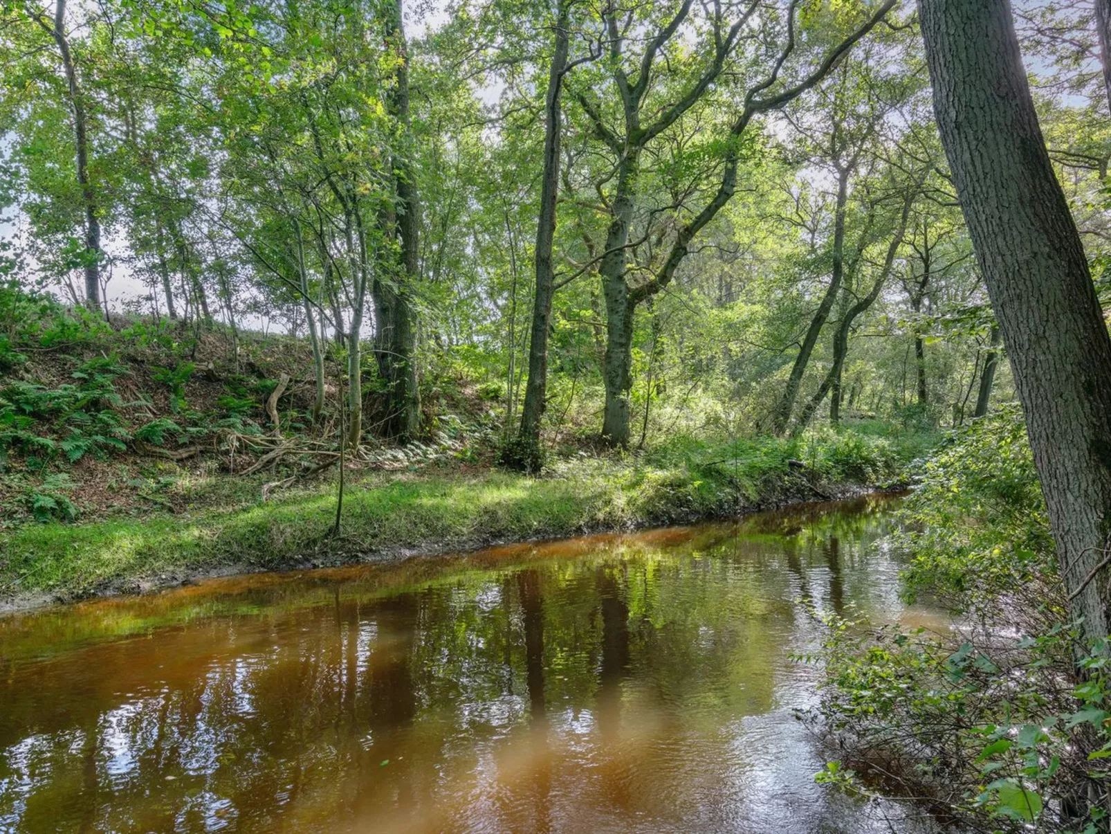 "Arnborg" - 2km from the sea-Buiten