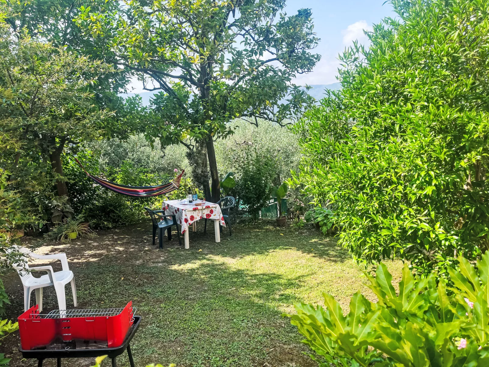 Elisa (DOL127)-Buiten