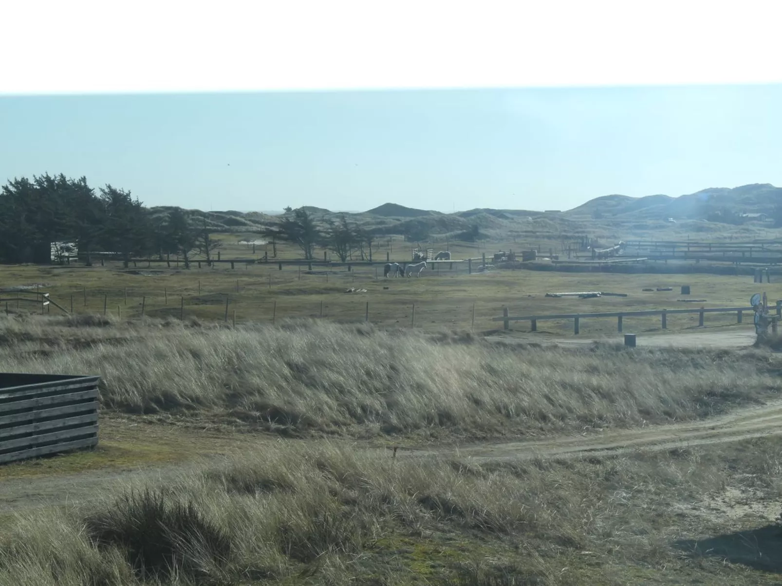 "Aslaug" - 500m from the sea-Buiten