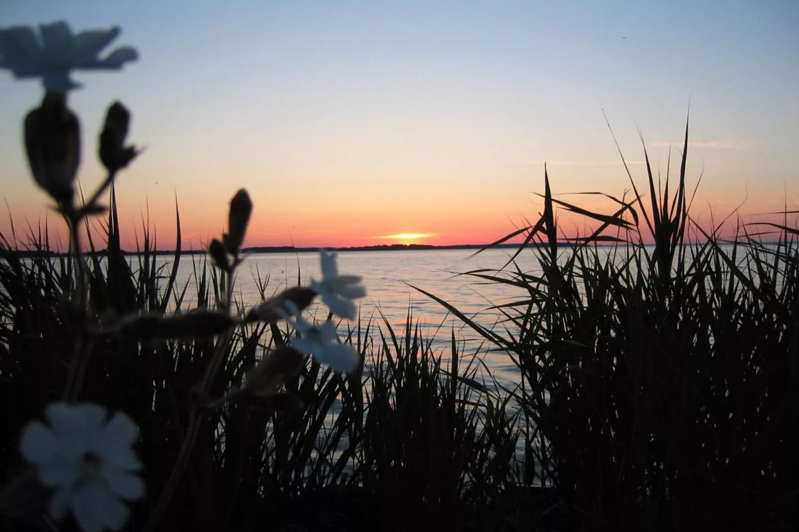 Mitteldeck 503-Gebieden zomer 20km