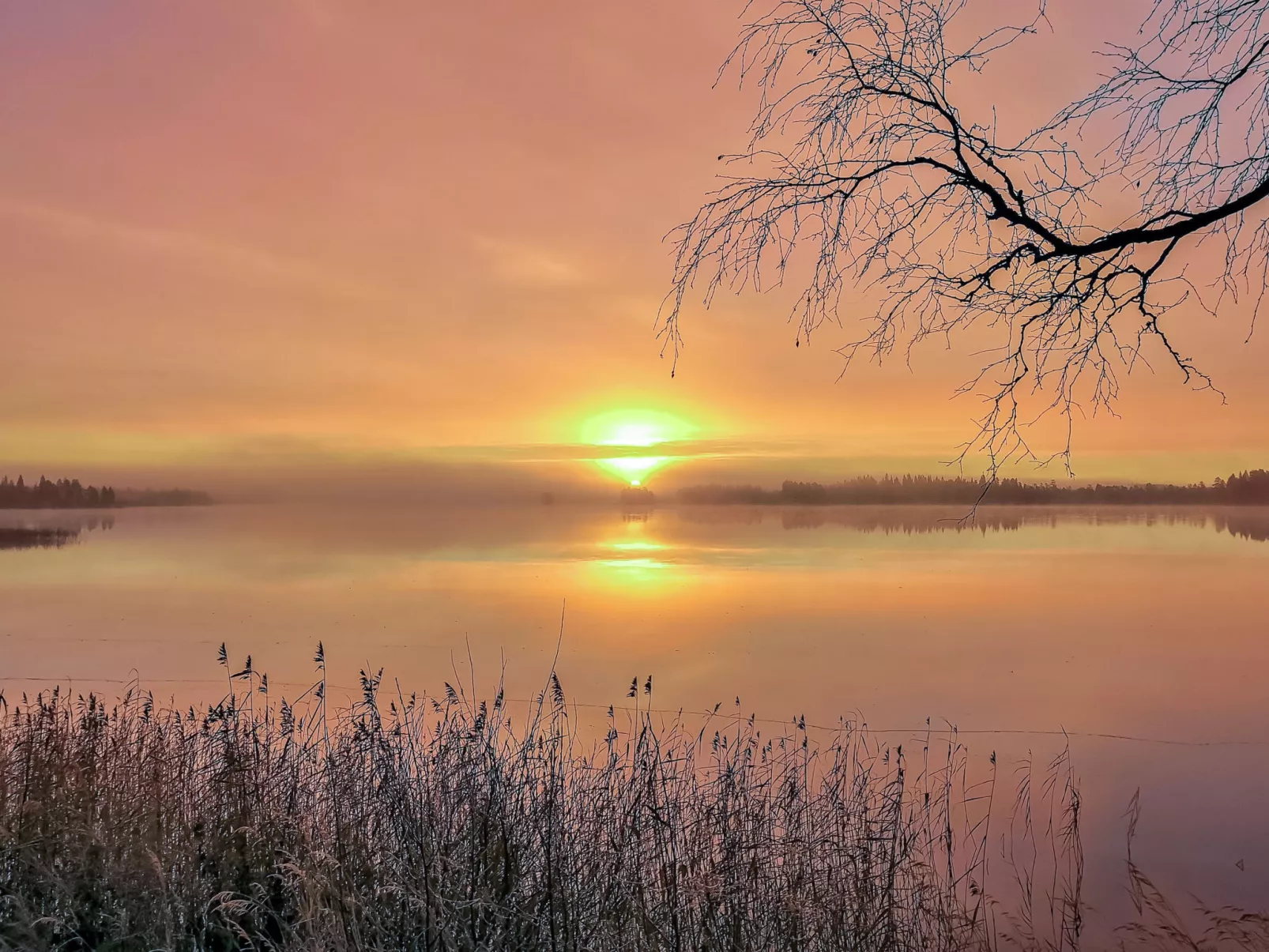 Lystikämän tupa-Binnen