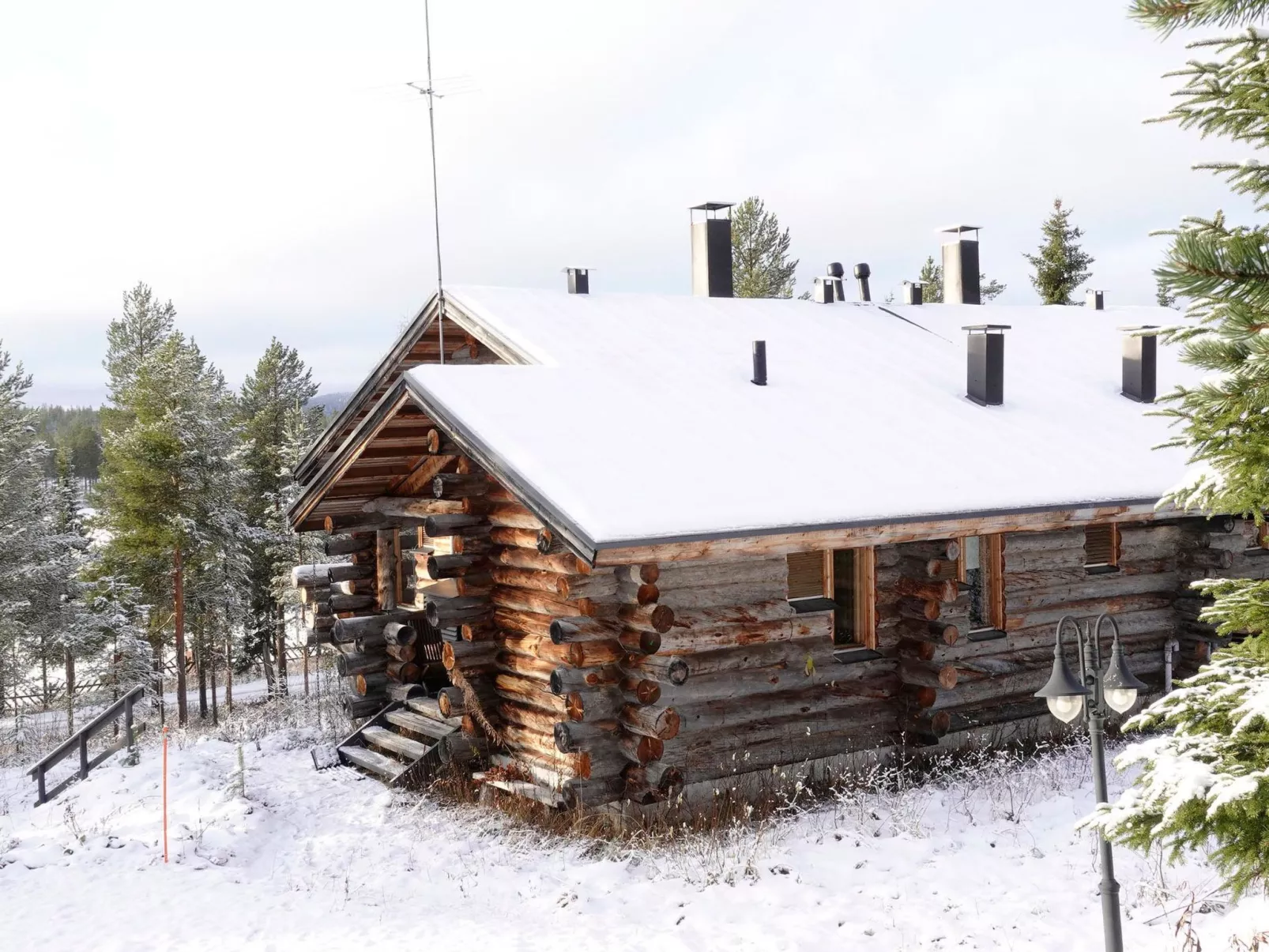 Sallanhelmi a2-Binnen