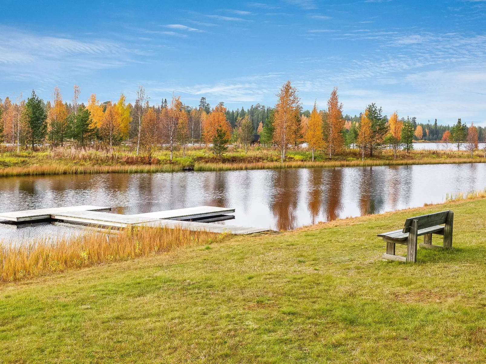 Sallanhelmi c1-Binnen