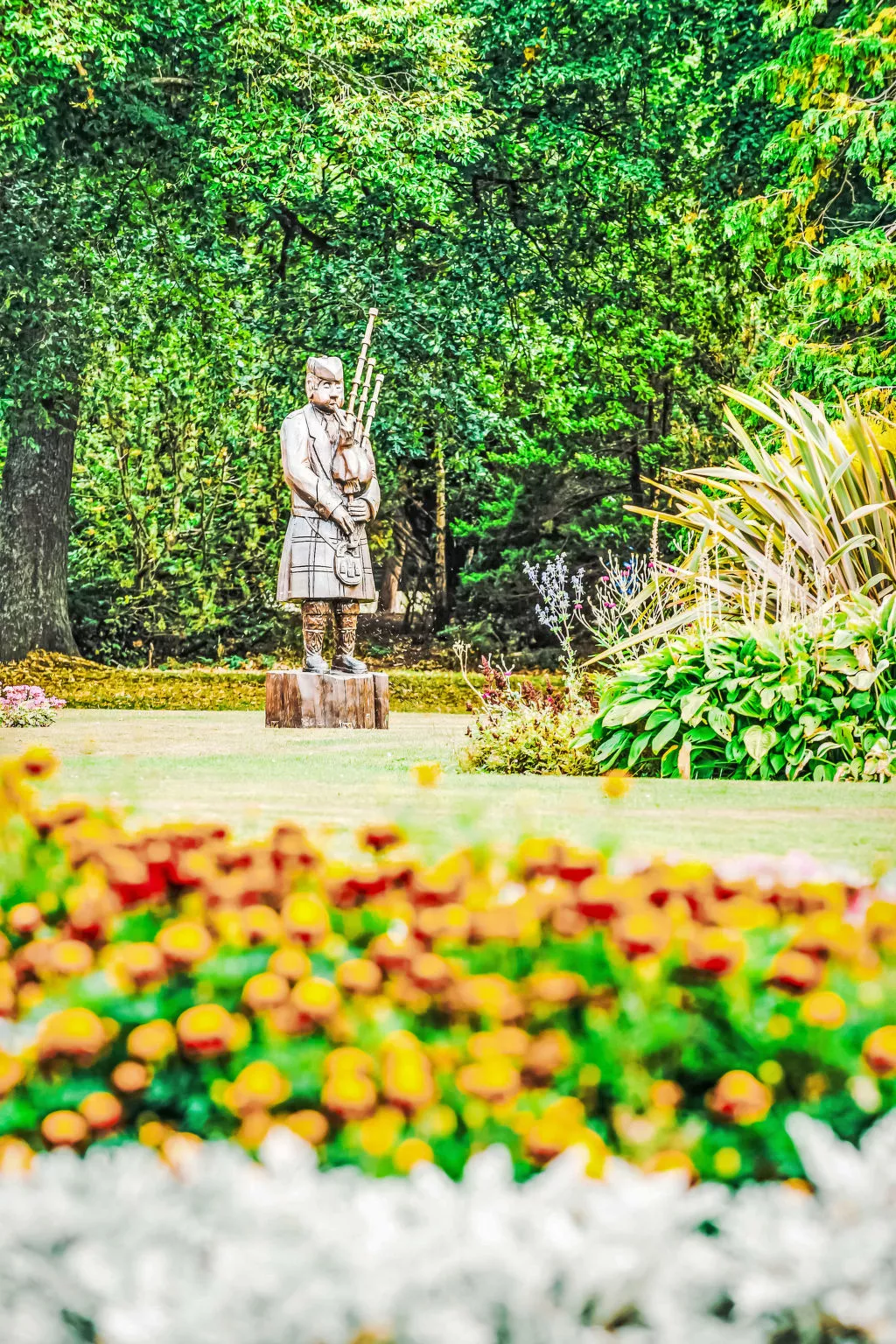 Varis Haven-Omgeving