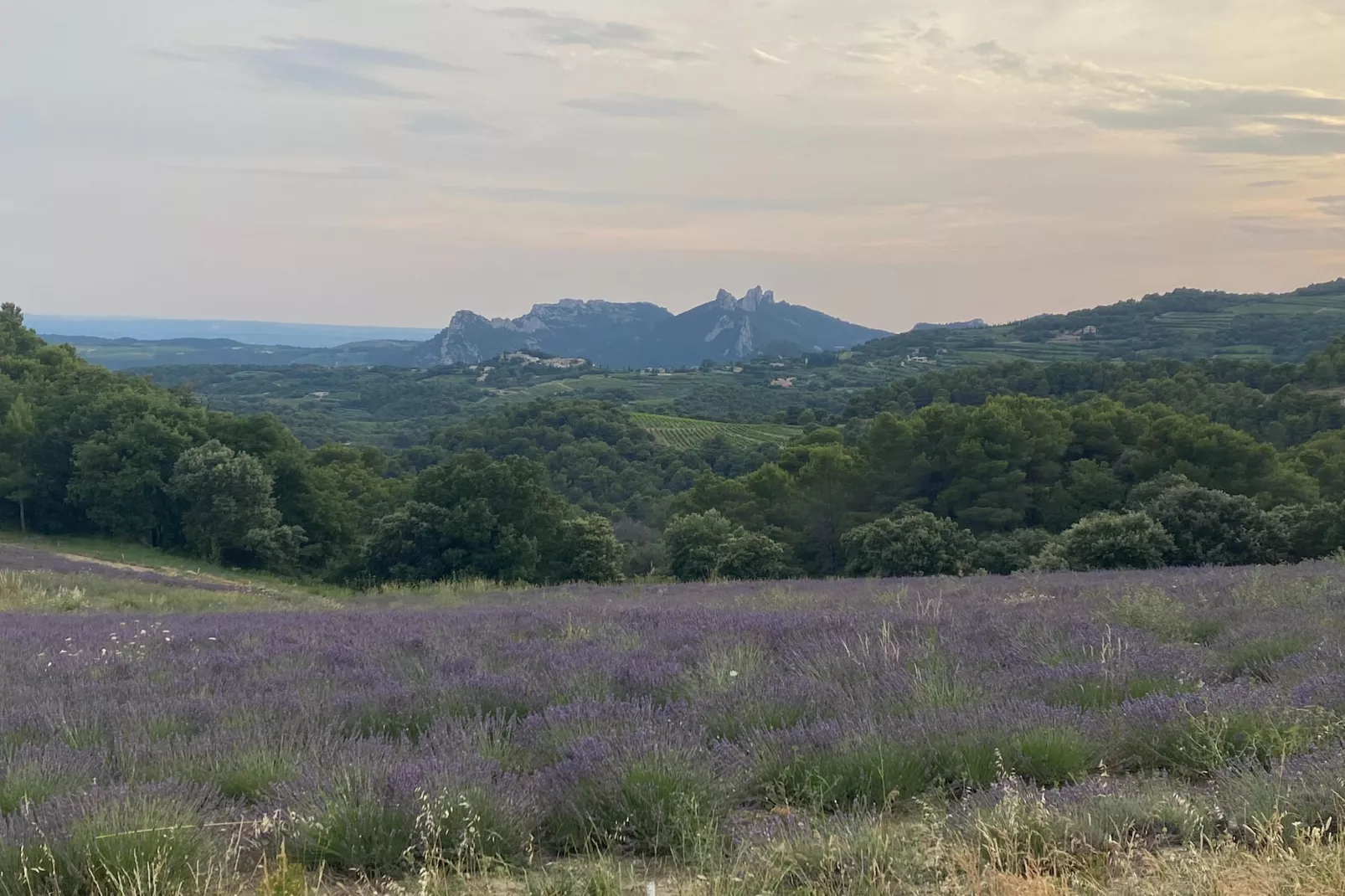 Le Mas d'à côté-Gebieden zomer 1km