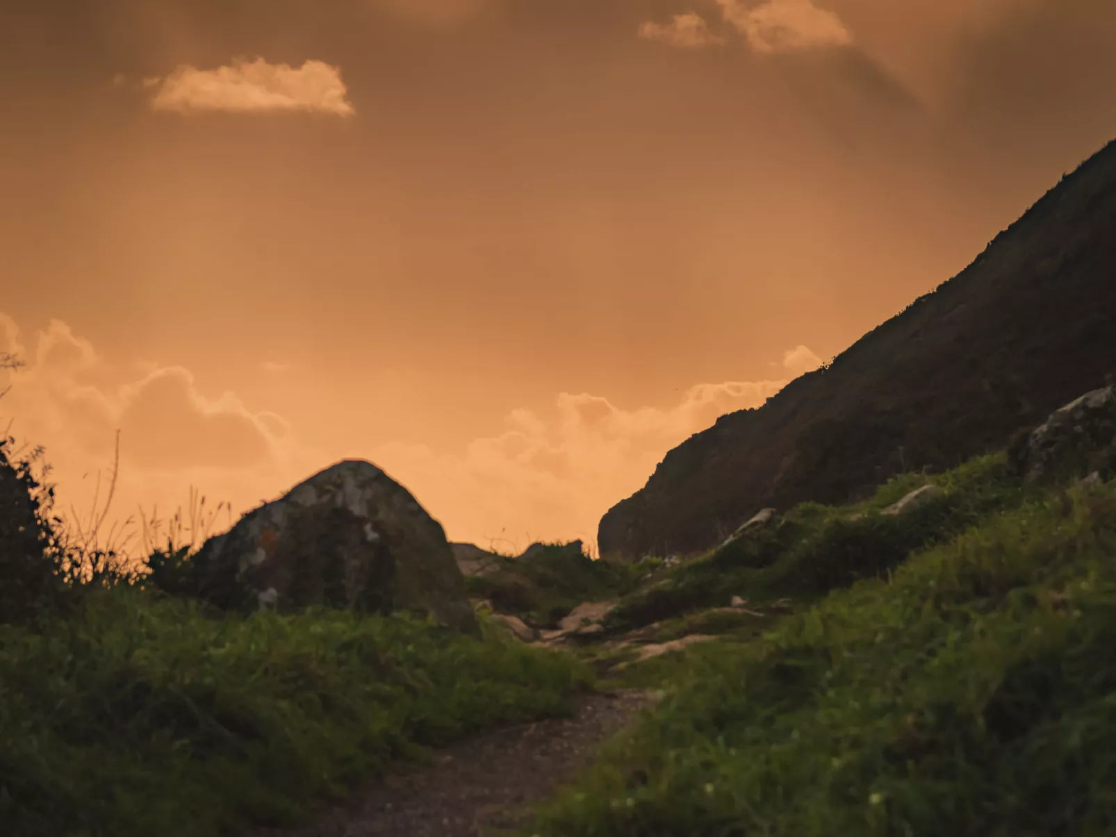 Dingles Cottage-Omgeving