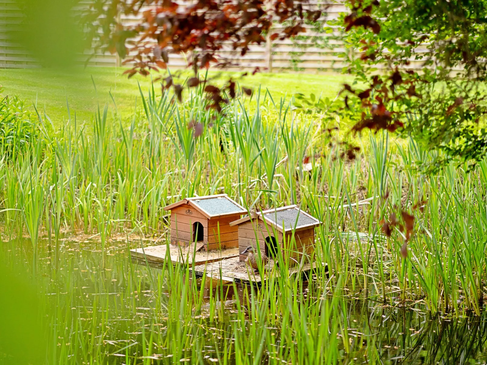 The Old Rectory-Buiten