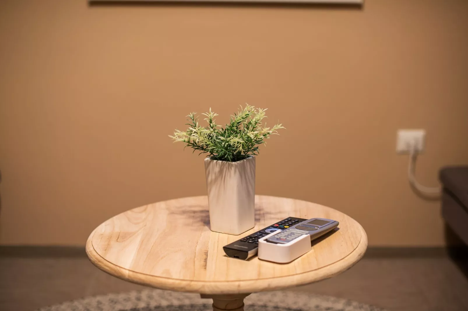 Rustic and Radiant Retreat Apartments with Terrace - Classic One Bedroom Apartment with Terrace (owner app 12)-Binnen