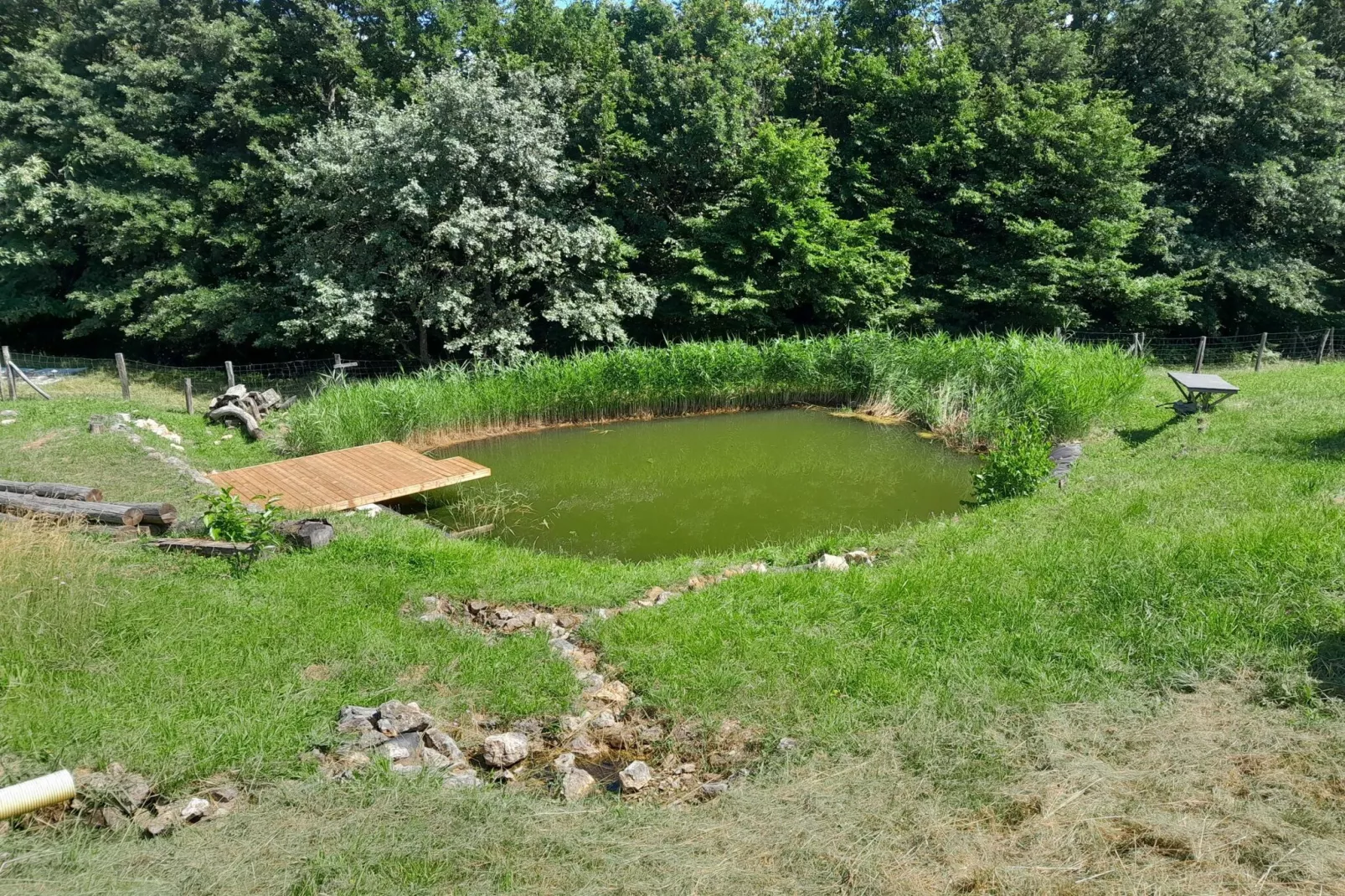 Hidden Authentic Haven Apartments - Two Bedroom Apartment with Balcony-Buitenlucht