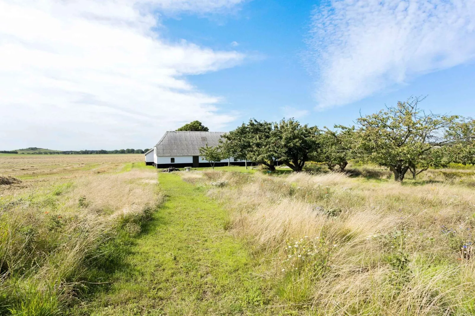 5 sterren vakantie huis in Bagenkop-Uitzicht