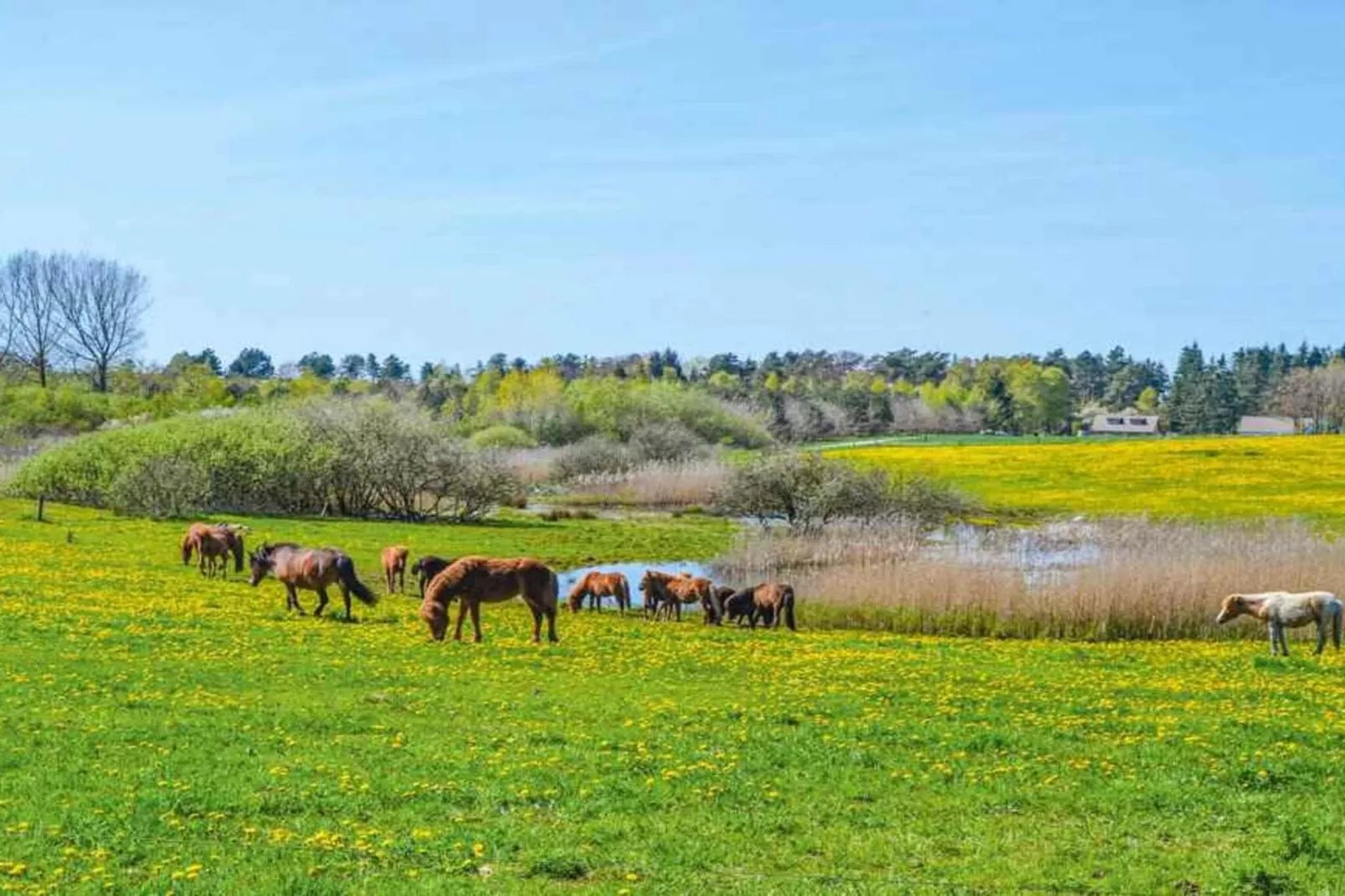 5 sterren vakantie huis in Nykøbing Sj-Uitzicht
