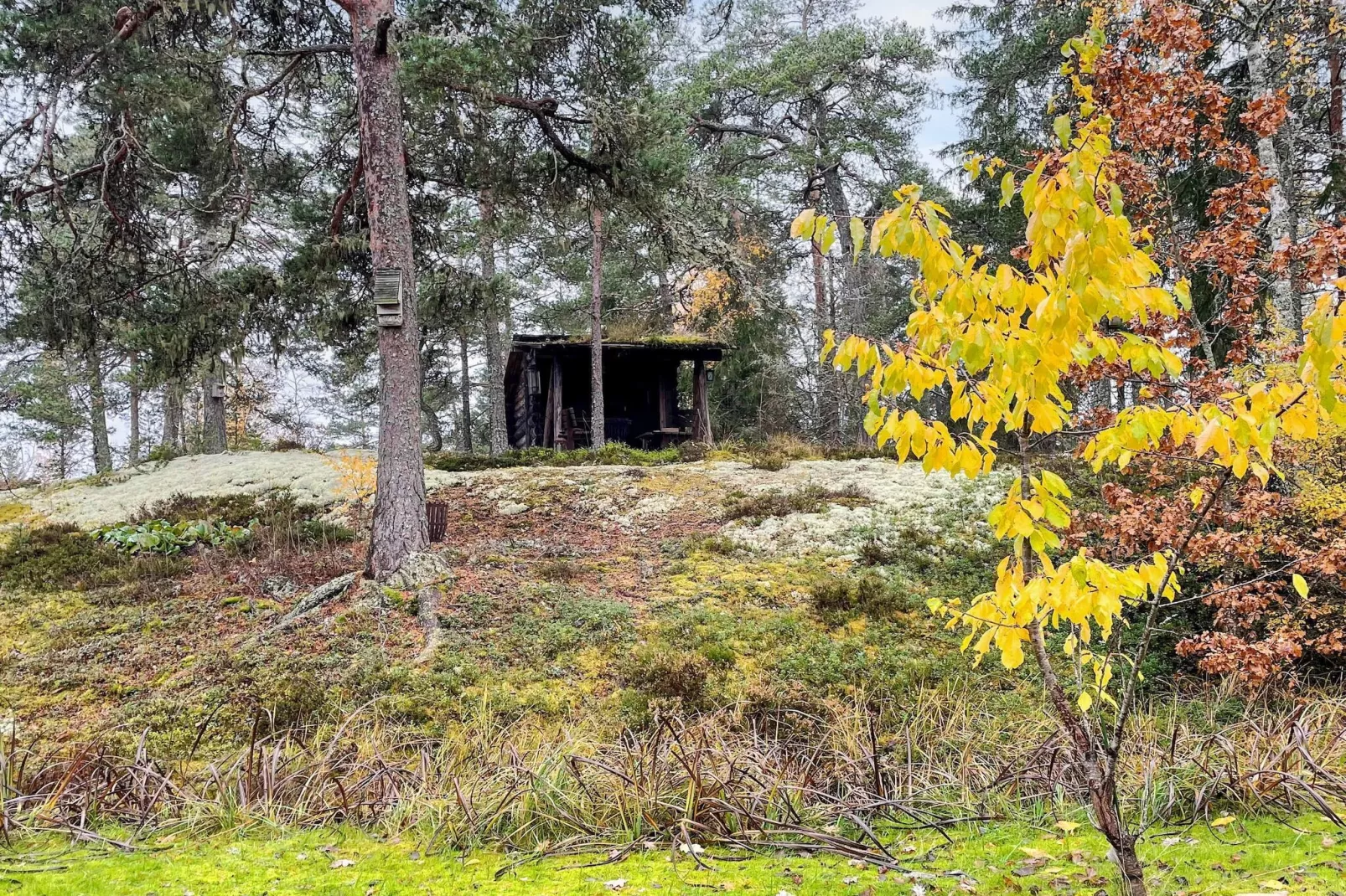 Gezellig toevluchtsoord in het bos met bubbelbad-Buitenlucht
