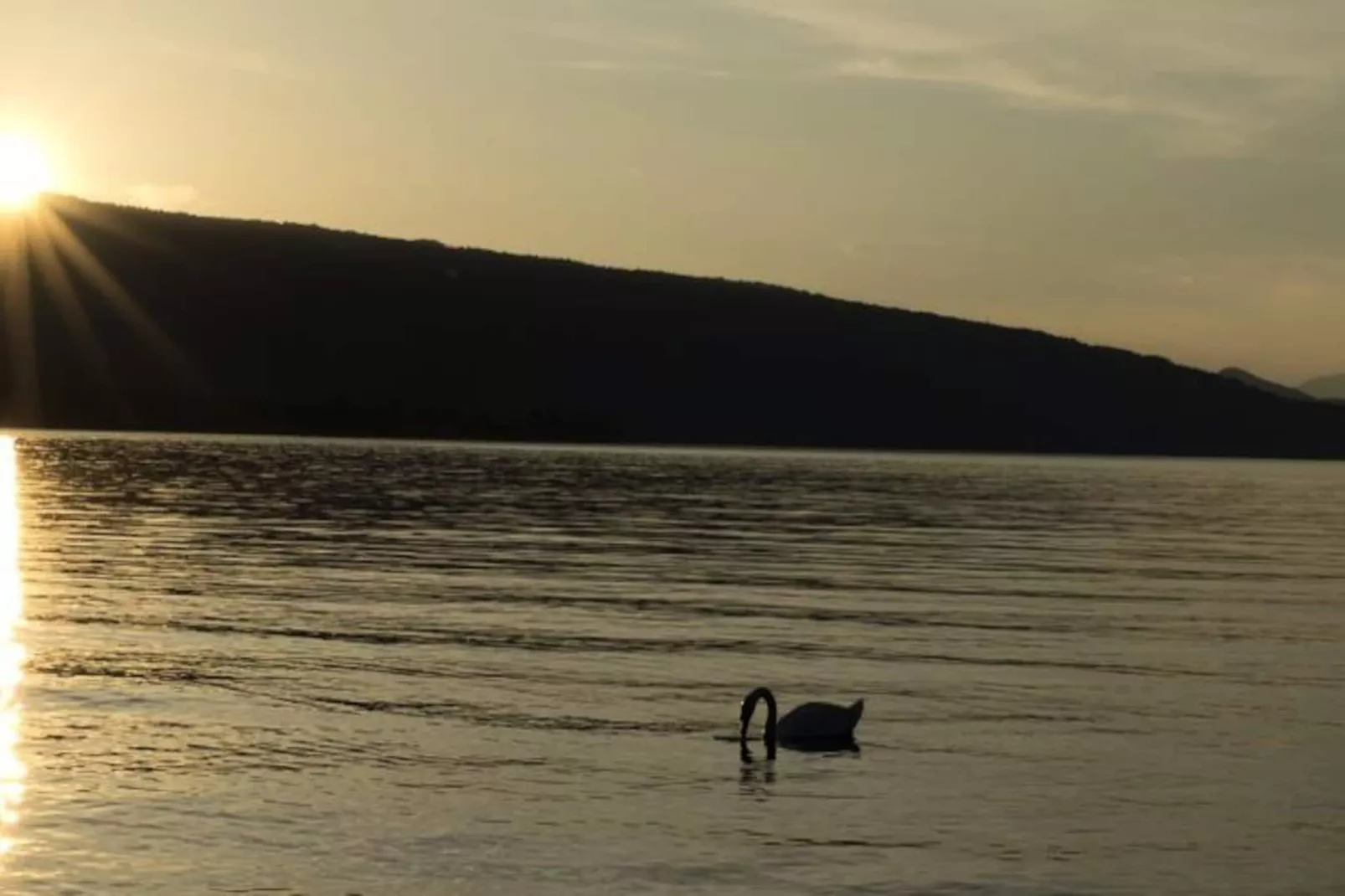 Appartements à Duingt-Niet-getagd